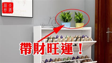 鞋櫃上可以放什麼植物 今日財神時間